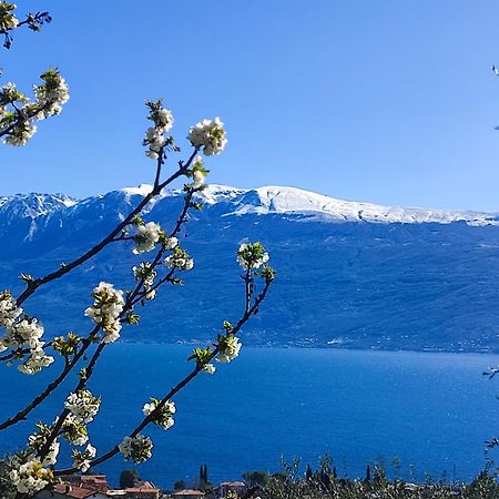 Agriturismo L'Uliveto ガルニャーノ エクステリア 写真