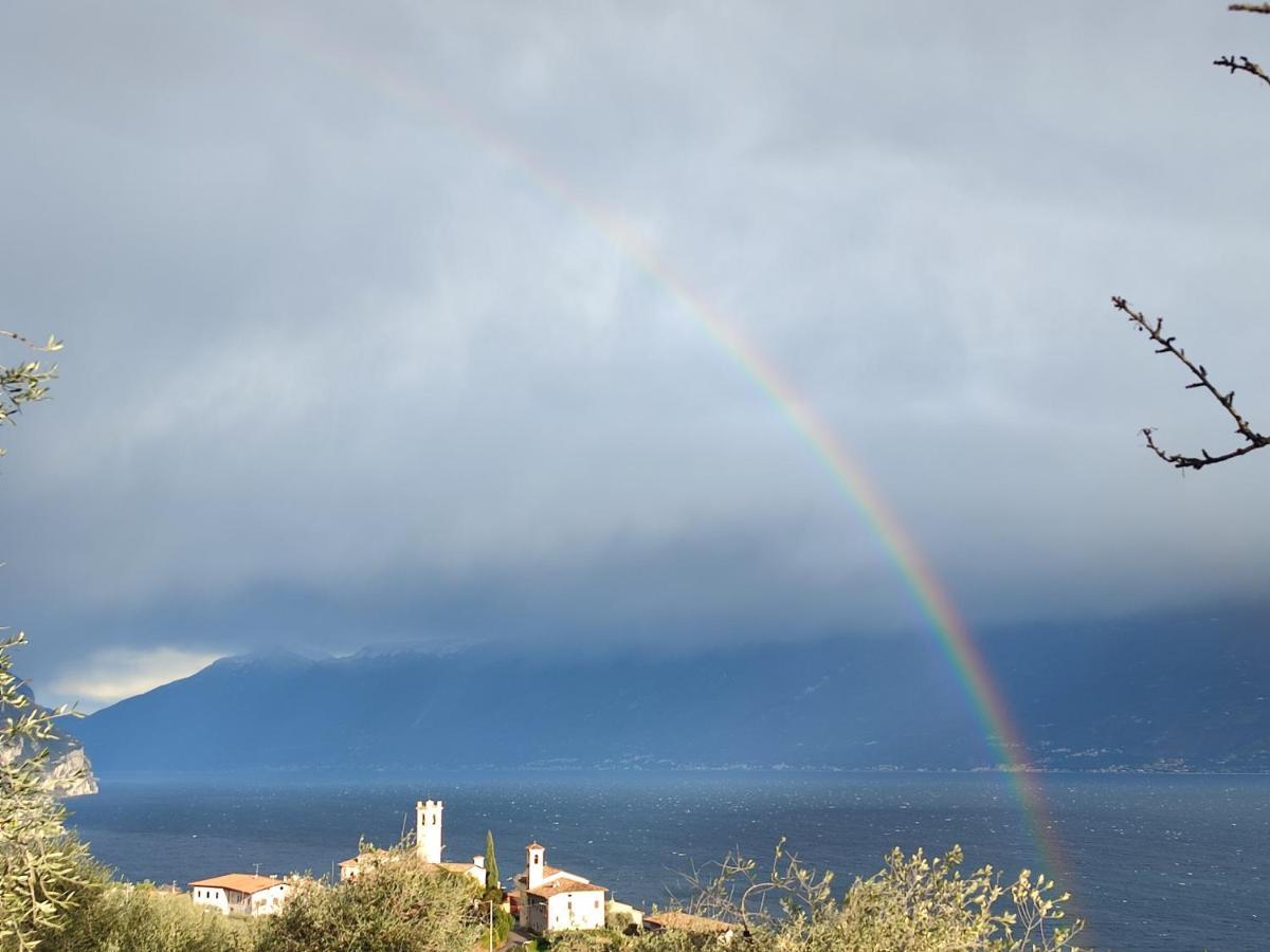 Agriturismo L'Uliveto ガルニャーノ 部屋 写真