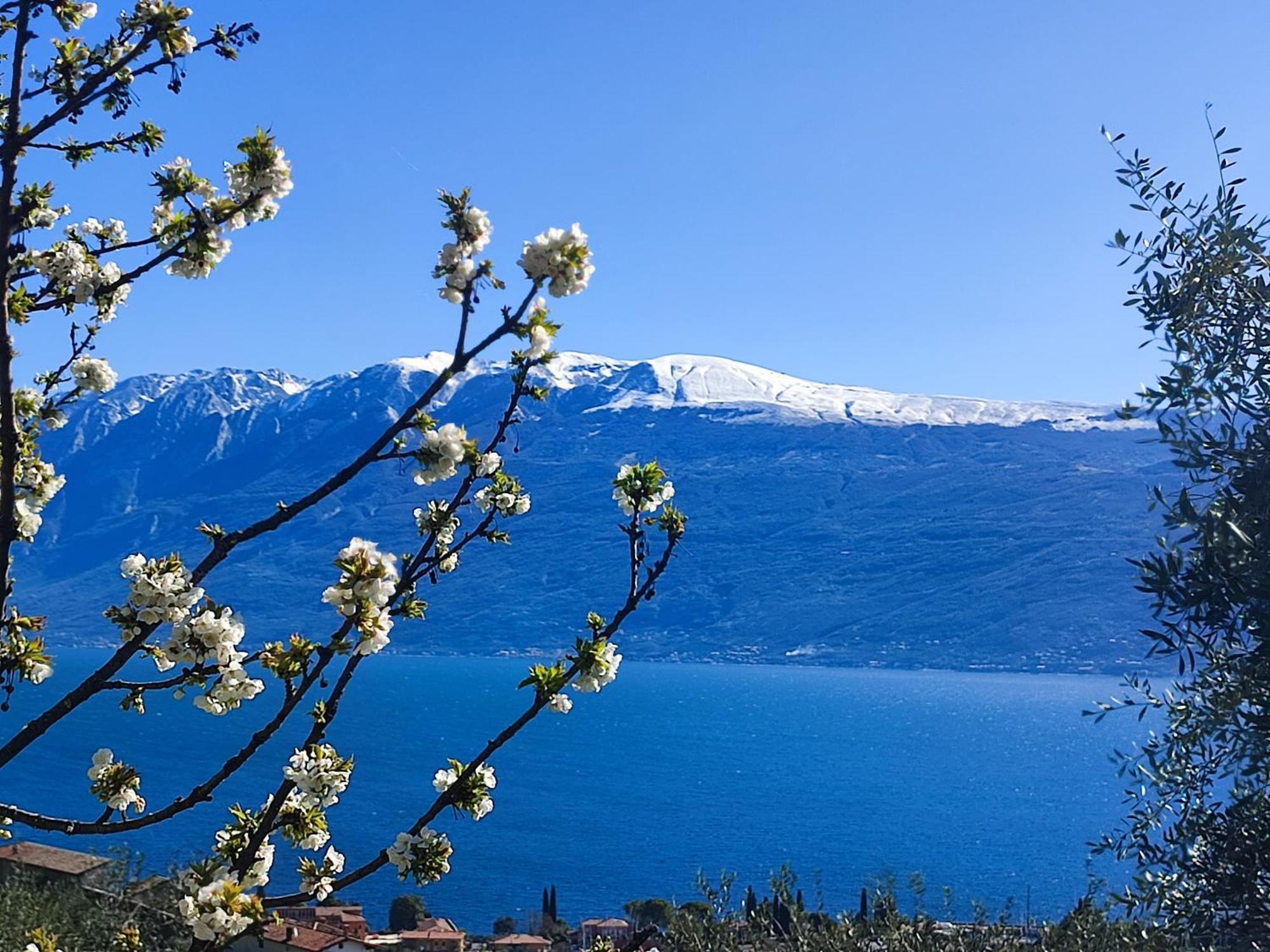Agriturismo L'Uliveto ガルニャーノ エクステリア 写真